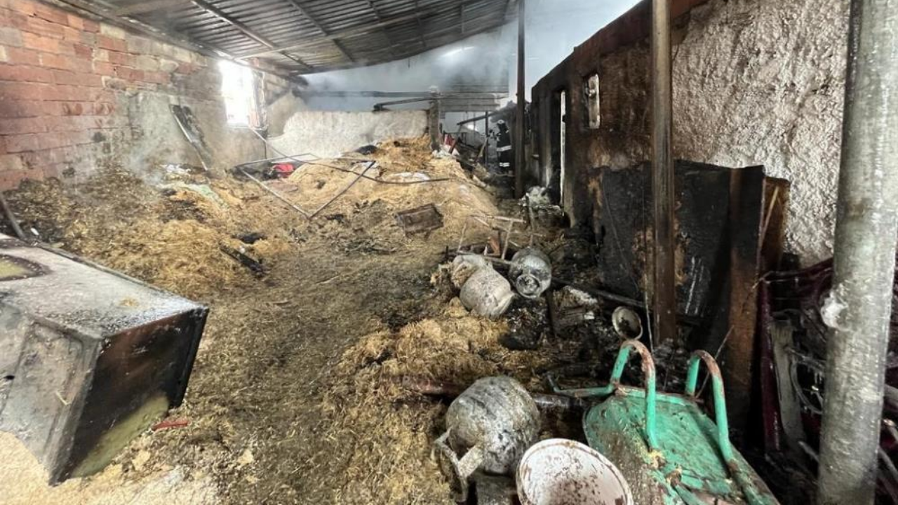 Ağılda çıkan yangın 80 hayvanı telef etti: 800 bin liralık zarar var